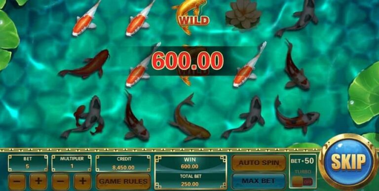 Koi Treasure
