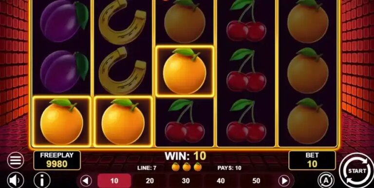 Lady Wild 10