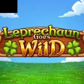 Leprechaun Goes Wild