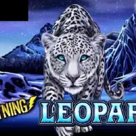 Lightning Leopard