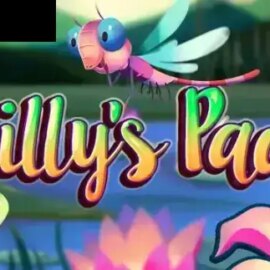 Lilly’s Pad