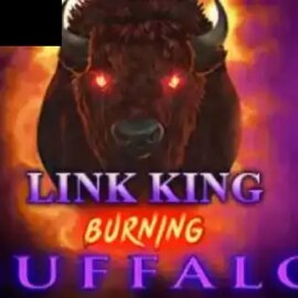 Link King Burning Buffalo