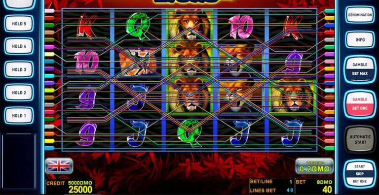 Lions Deluxe