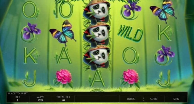 Little Panda