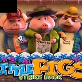 Little Pigs