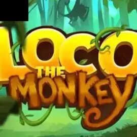 Loco the Monkey