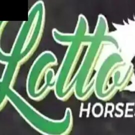 Lotto Horses