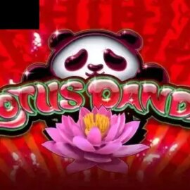 Lotus Panda