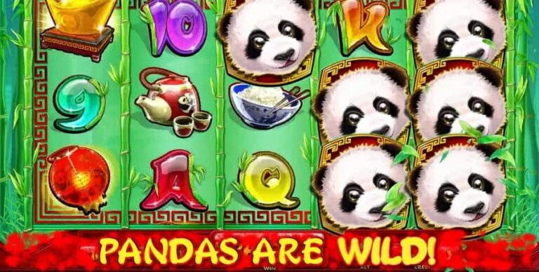Lotus Panda