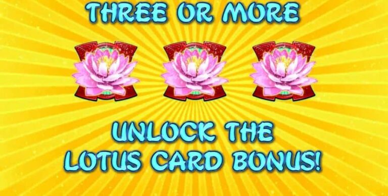 Lotus Panda