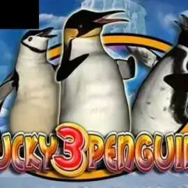 Lucky 3 Penguins