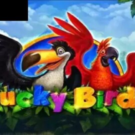 Lucky Birds