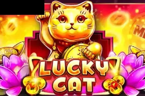 Lucky Cat (Platipus)