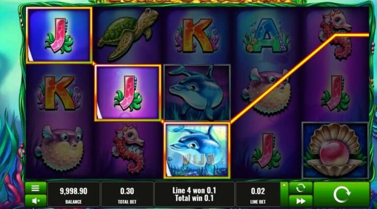Lucky Dolphin
