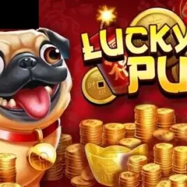 Lucky Pug