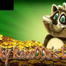 Lucky Racoon’S Luck