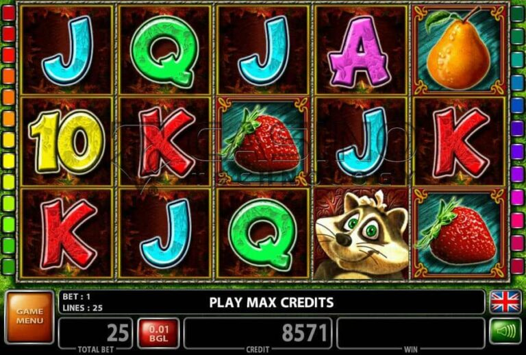 Lucky Racoon’S Luck