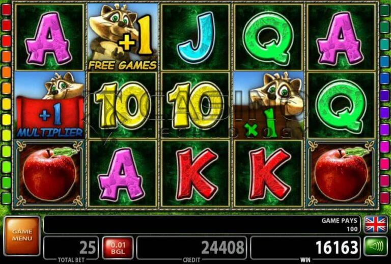 Lucky Racoon’S Luck