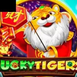 Lucky Tigers