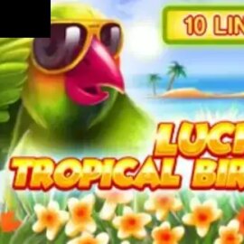 Lucky Tropical Birds