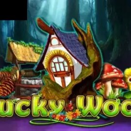 Lucky Wood