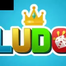 Ludo Express