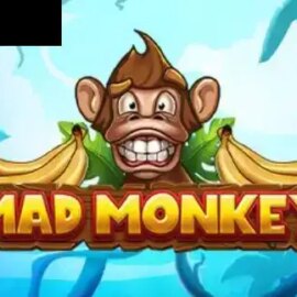 Mad Monkey