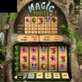 Magic Forest (GameScale)