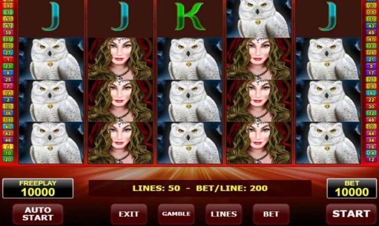 Magic Owl