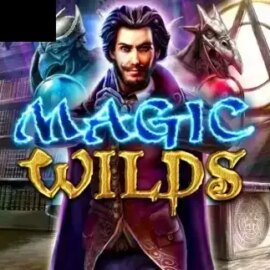 Magic Wilds