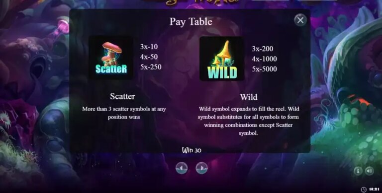 Magic World (BetConstruct)