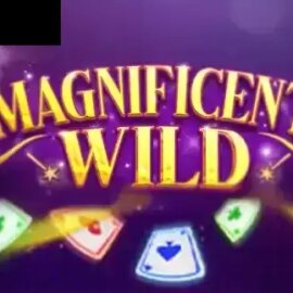 Magnificent Wild