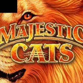 Majestic Cats