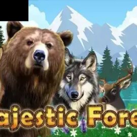 Majestic Forest