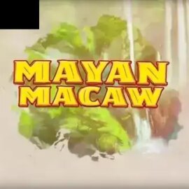 Mayan Macaw