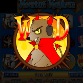 Meerkat Mayhem
