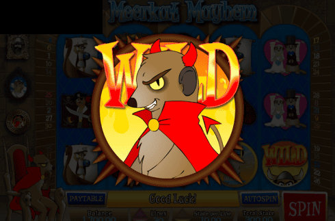 Meerkat Mayhem