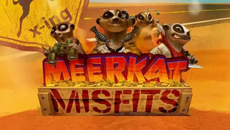 Meerkat Misfits