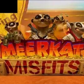 Meerkat Misfits