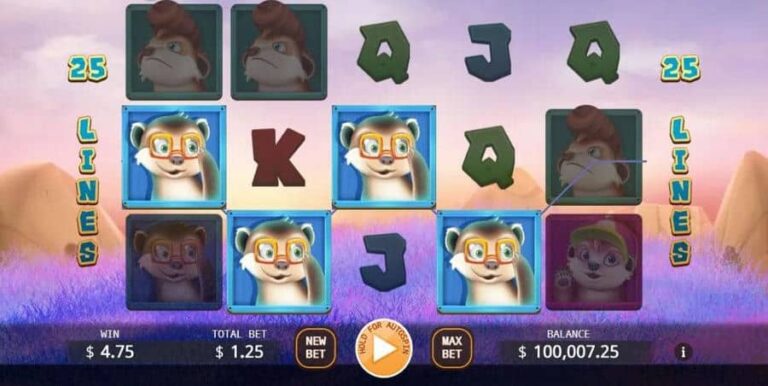 Meerkats Family