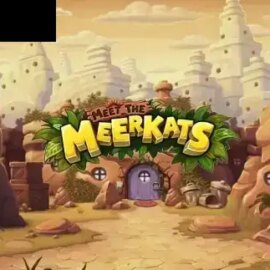 Meet the Meerkats