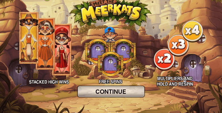 Meet the Meerkats