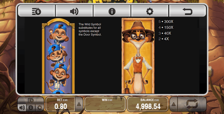 Meet the Meerkats