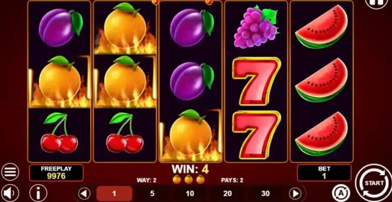 Mega Lucky 243