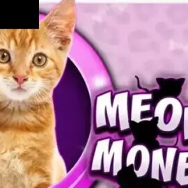 Meow Money