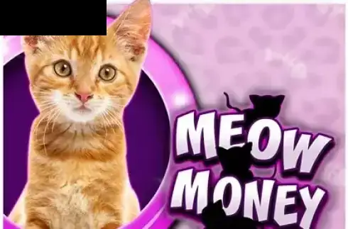 Meow Money