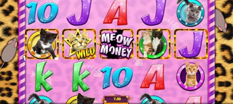 Meow Money
