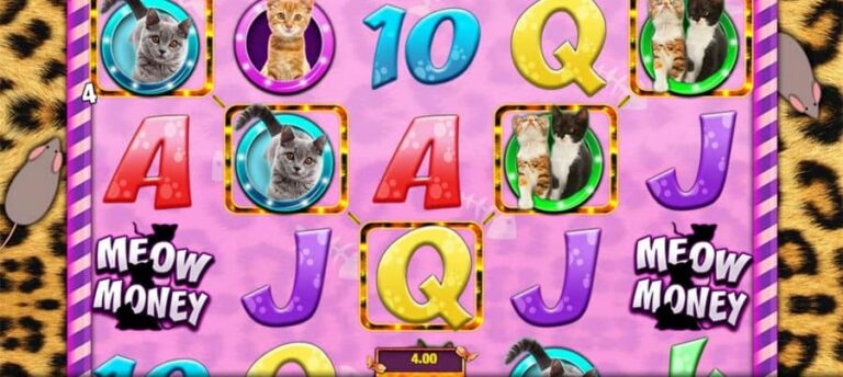 Meow Money