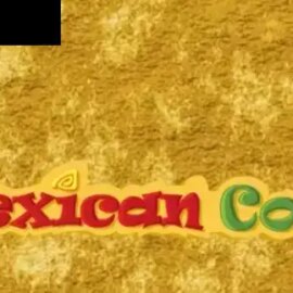 Mexican Cook HD