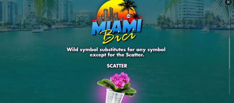 Miami Bici